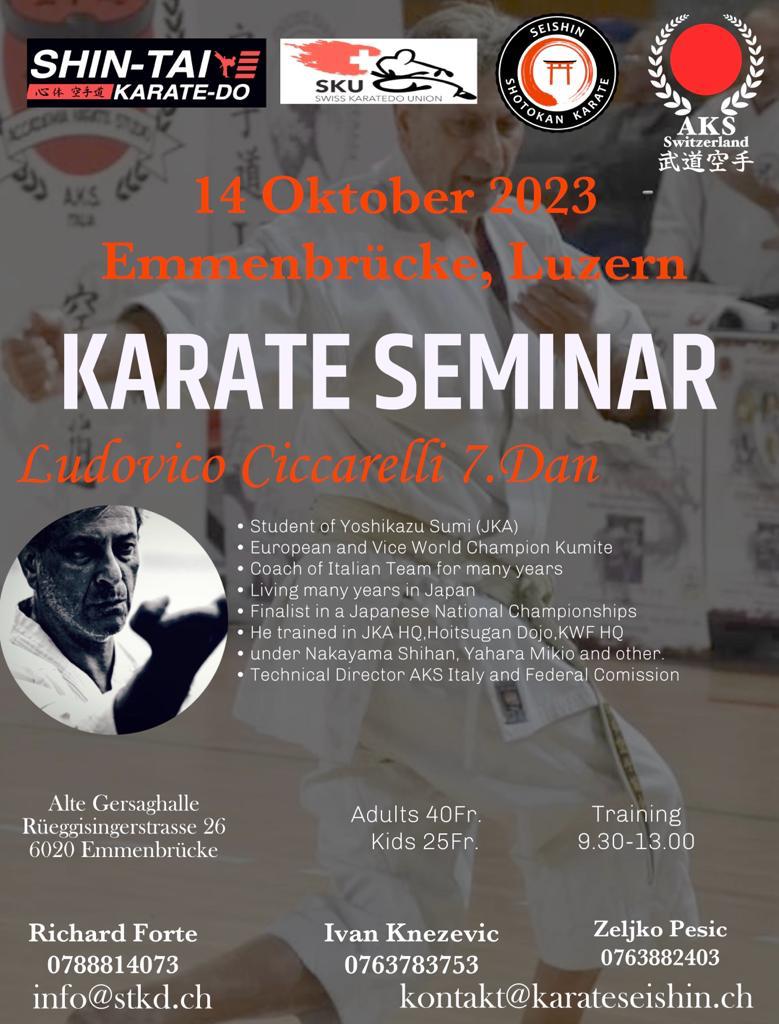 Karate Seminar